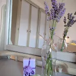Apartman Soline