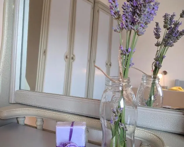 Διαμέρισμα Soline